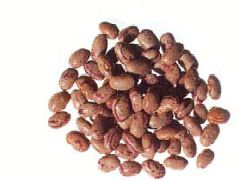 DRIED BORLOTTI BEANS