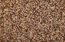 TRICOLOUR QUINOA